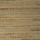 Madras Thyme