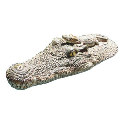 A Nifty Decorative Pool Accessory Guaranteed to Draw Attention!