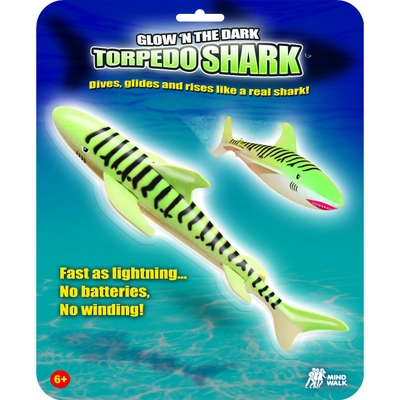 The Best Under Water Night Time Toy For Your Swimming Pool!
