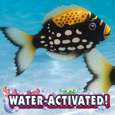 Add the Best Under Water Toy to Your Pool with Rainbow Reef Trigger Fish!