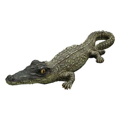 Watch out! There's an Alligator Swimming in Your Above Ground Swimming Pool!
