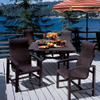 Lakeside Woven - Dining