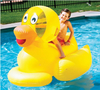 60" Giant Ducky