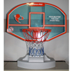 Arena Pro Basketball Game