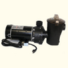 Hayward 2.5 HP Pump & Motor