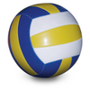 Multi-Purpose Ball