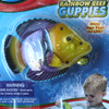 Rainbow Reef Guppies
