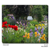 Iris Garden