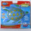 Rainbow Reef Turtle