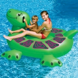 Giant Sea Turtle