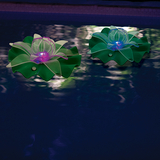 Ocean Art Lotus