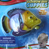 Rainbow Reef Guppies