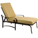 Belden Cushion Chaise Lounge
