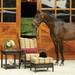 Equestrian - Deep Seating