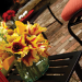 Villano - Dining