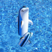 36" Marvelous Dolphin