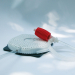 Pool Cover Saver Siphon